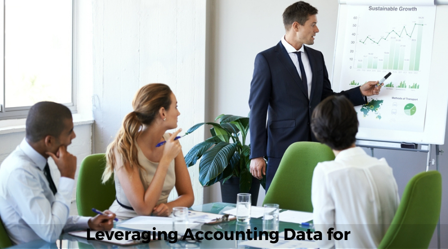 Leveraging Accounting Data for Business Growth	