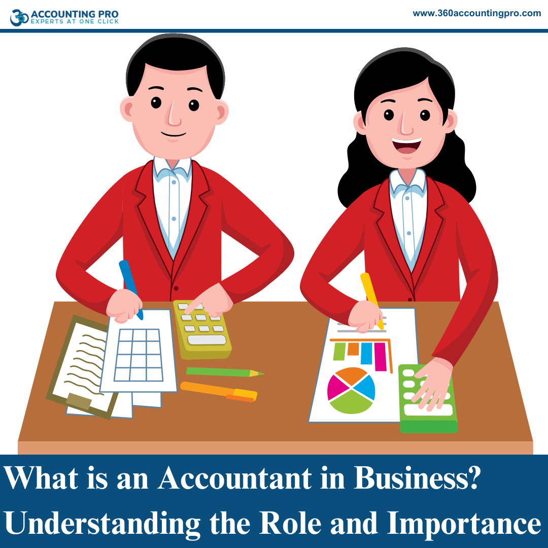 What is an Accountant in Business? Understanding the Role and Importance