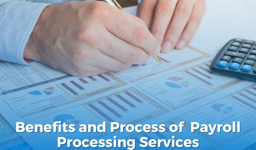 Benefits and Process of  Payroll Processing Services