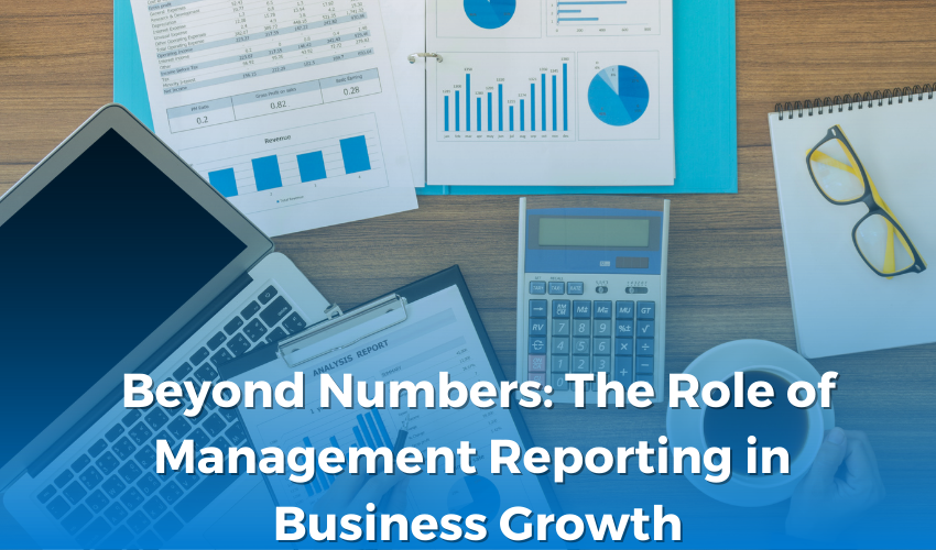 Beyond Numbers: The Role of Management Reporting in Business Growth