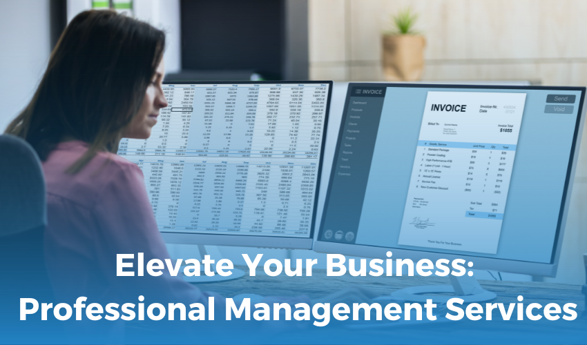 Elevate Your Business: Professional Management Services