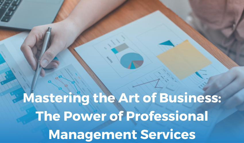 Mastering the Art of Business: The Power of Professional Management Services