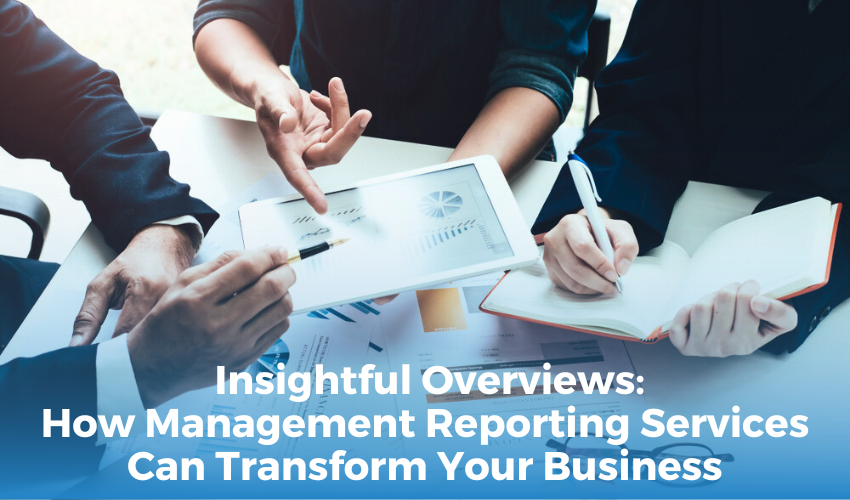  Insightful Overviews: How Management Reporting Services Can Transform Your Business