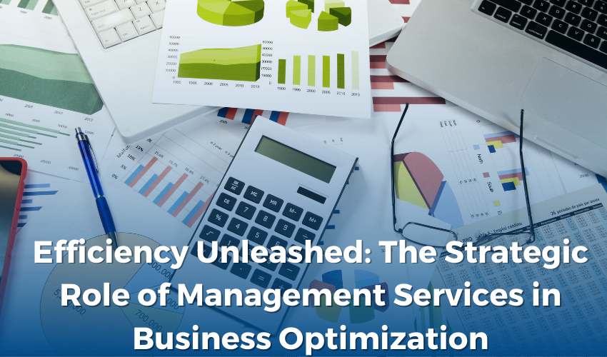 Efficiency Unleashed: The Strategic Role of Management Services in Business Optimization