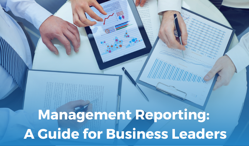 Management Reporting: A Guide for Business Leaders