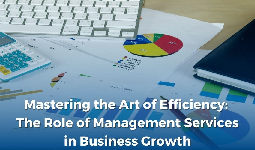 Mastering the Art of Efficiency: The Role of Management Services in Business Growth