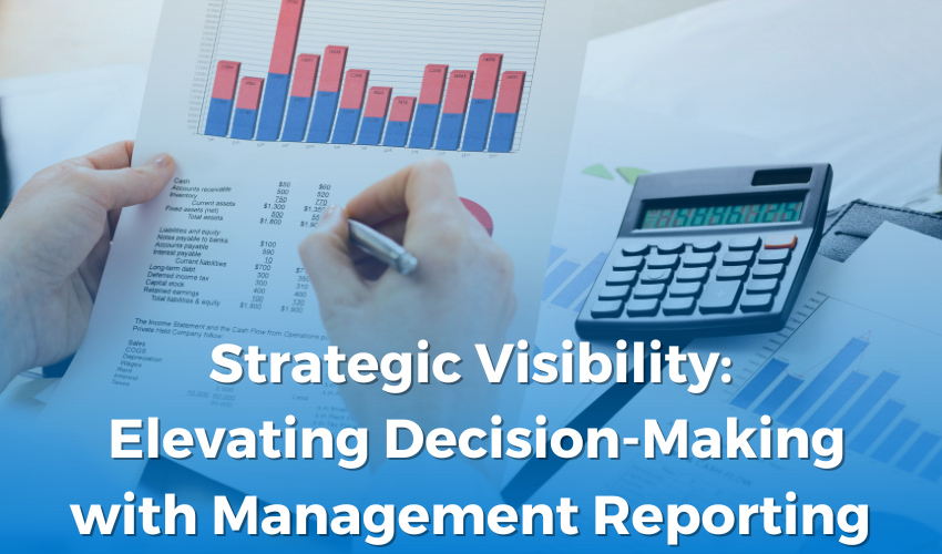 Strategic Visibility: Elevating Decision-Making with Management Reporting