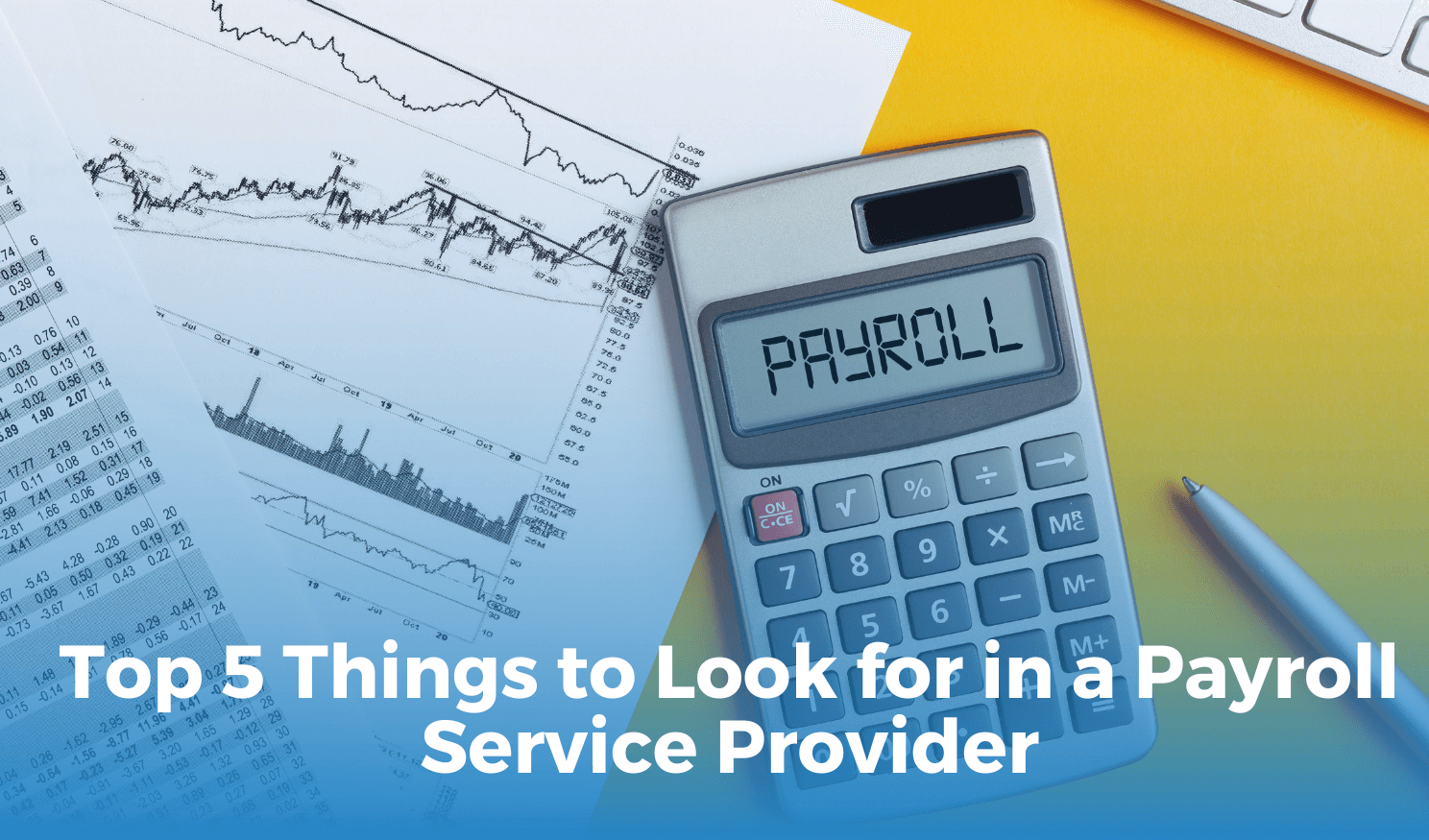 Top 5 Things to Look for in a Payroll Service Provider