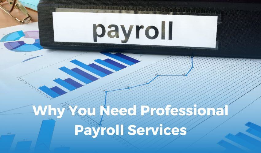 Why You Need Professional Payroll Services
